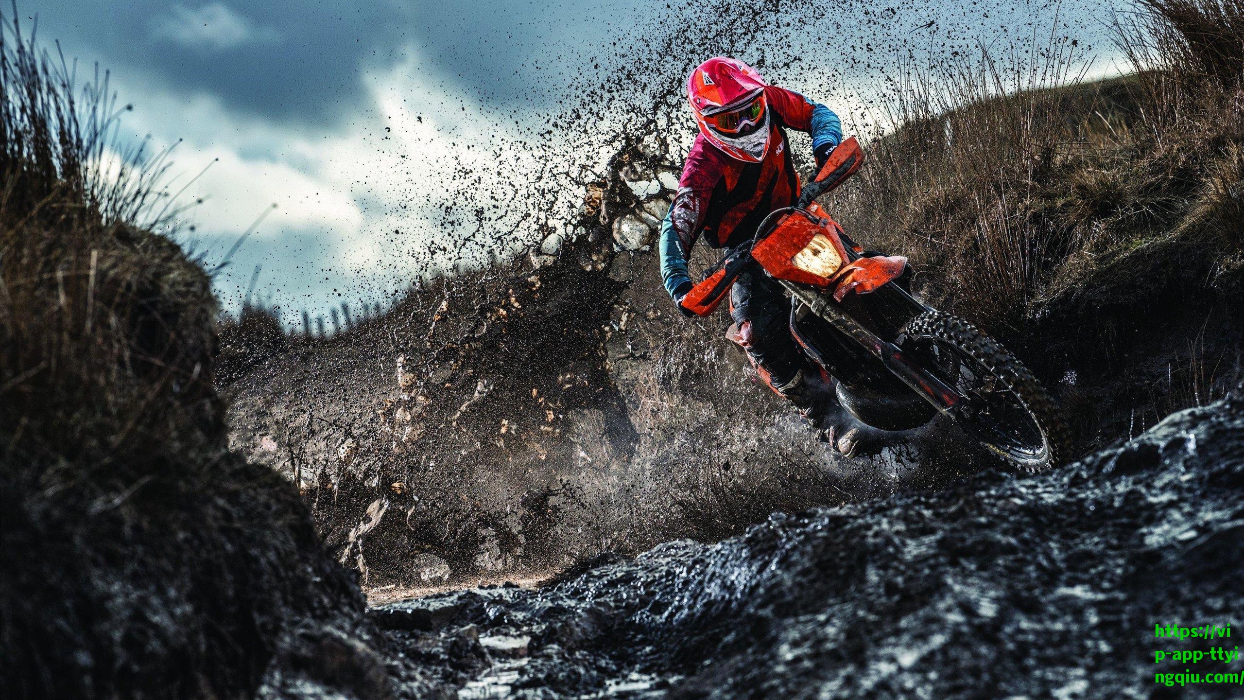 热火狂胜篮网!篮板统治成制胜关键,阿德巴约,我们防下了对手