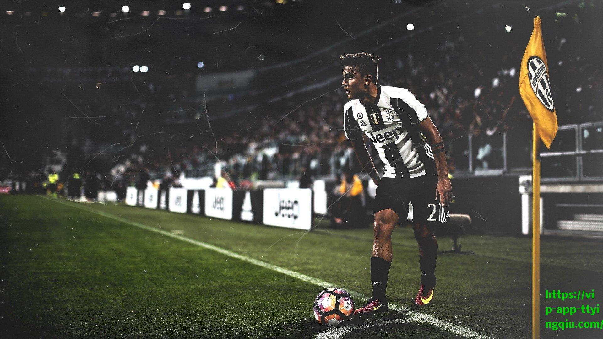 威利·格林盛赞CJ职业精神,训练馆里的不懈追求